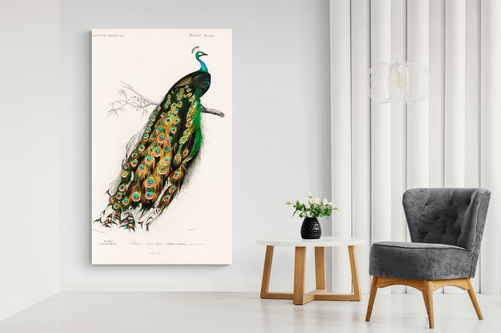 Pixalot Peafowl