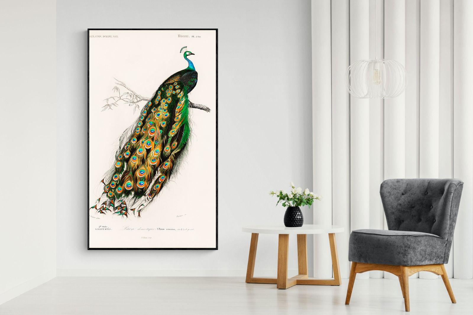 Pixalot Peafowl