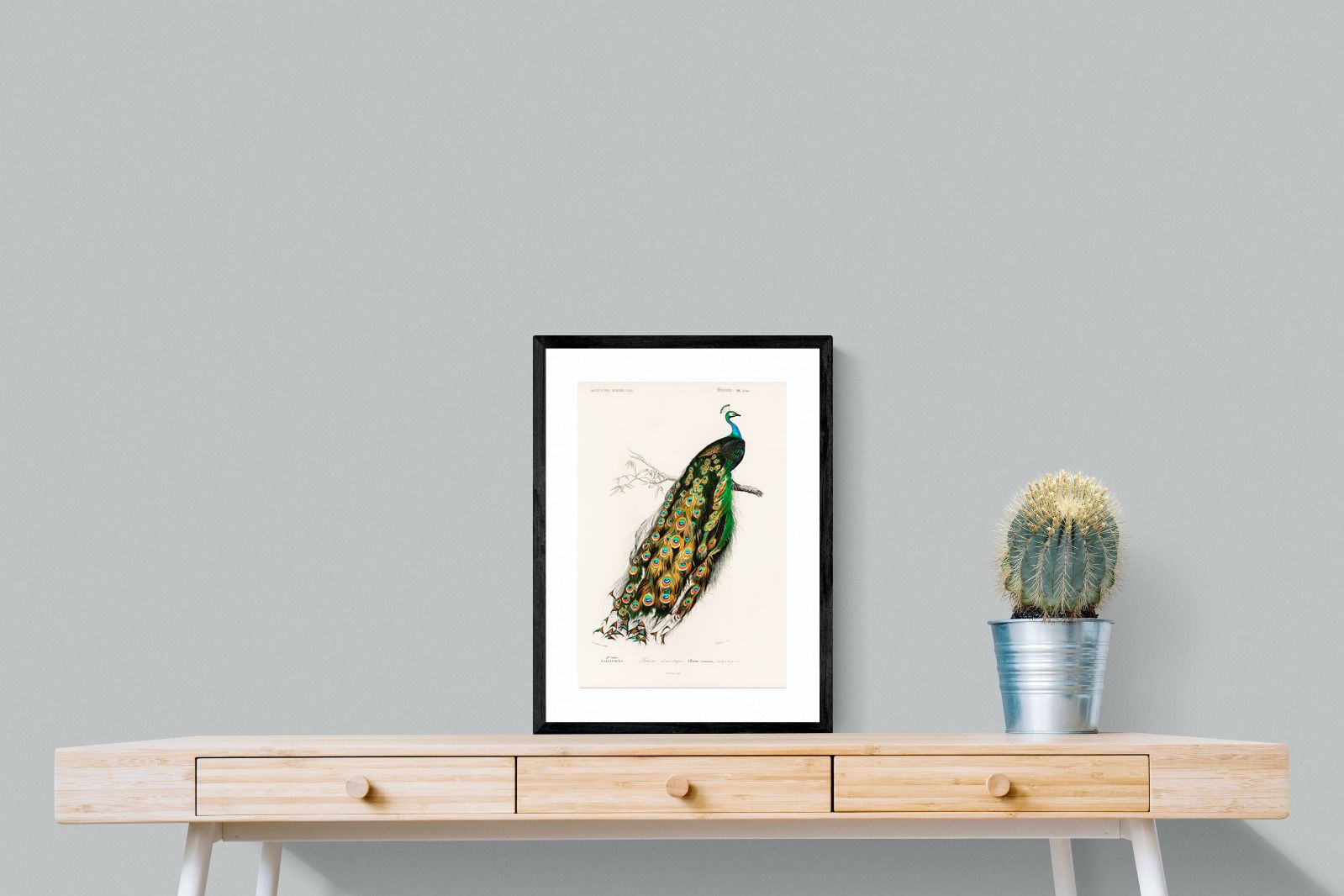 Pixalot Peafowl