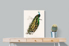 Pixalot Peafowl