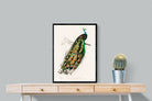Pixalot Peafowl
