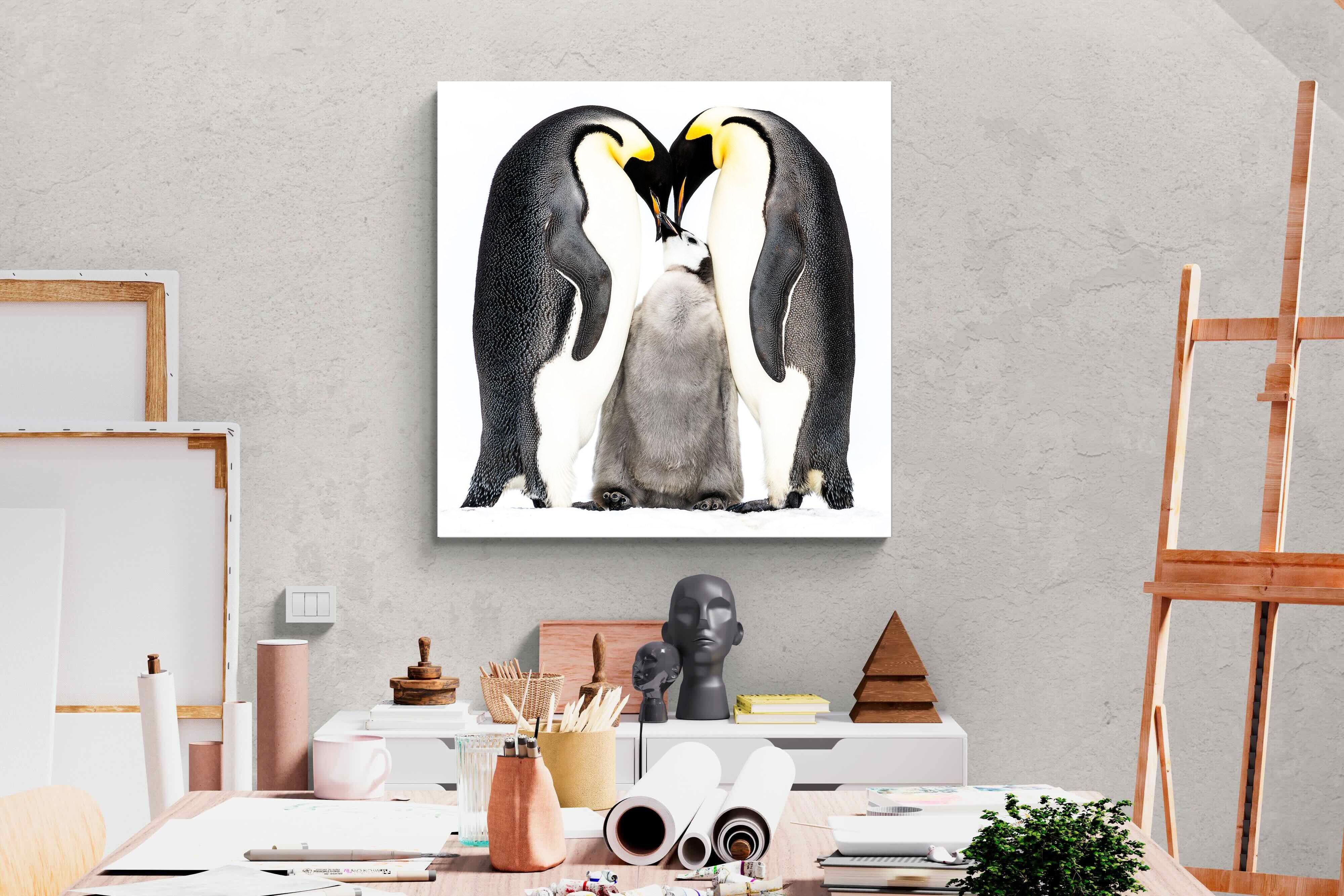 Pixalot Penguin Family