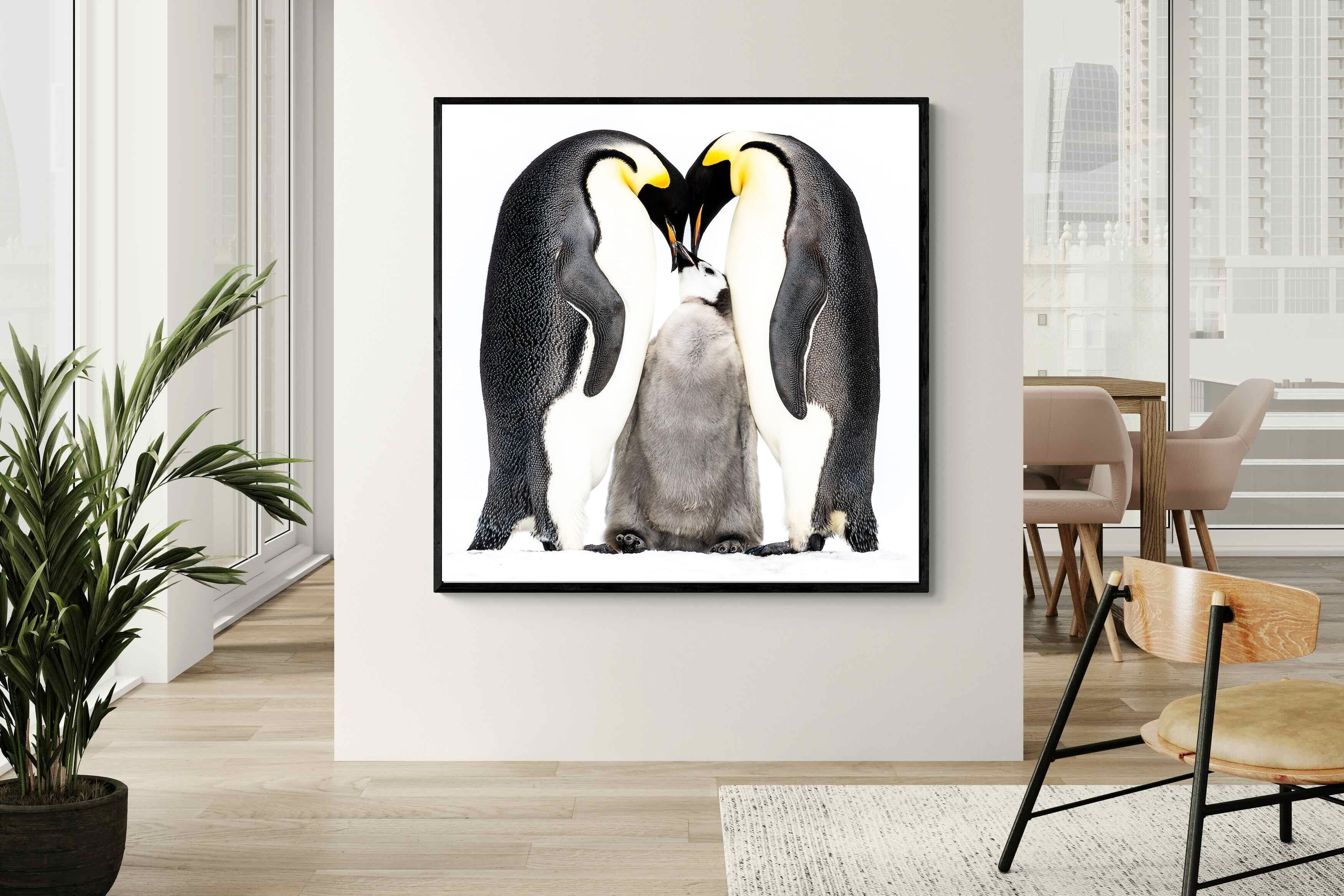 Pixalot Penguin Family