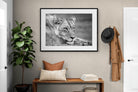 Pixalot Pensive Lioness