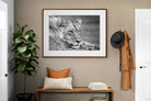 Pixalot ® Pensive Lioness