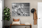 Pixalot Pensive Lioness