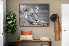 Pixalot ® Pensive Lioness