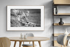 Pixalot Pensive Lioness