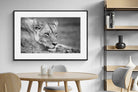 Pixalot Pensive Lioness
