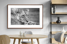 Pixalot ® Pensive Lioness
