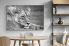 Pixalot Pensive Lioness