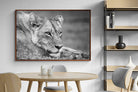Pixalot ® Pensive Lioness