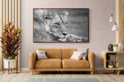 Pixalot ® Pensive Lioness