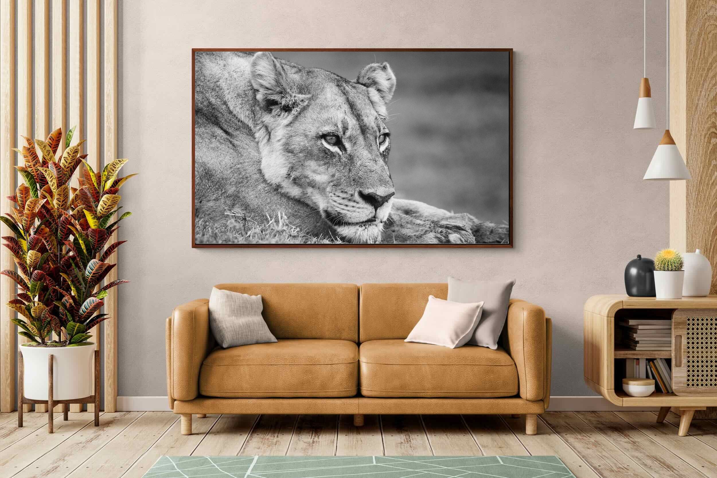 Pixalot ® Pensive Lioness