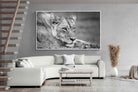Pixalot Pensive Lioness