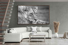 Pixalot ® Pensive Lioness