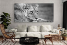 Pixalot Pensive Lioness