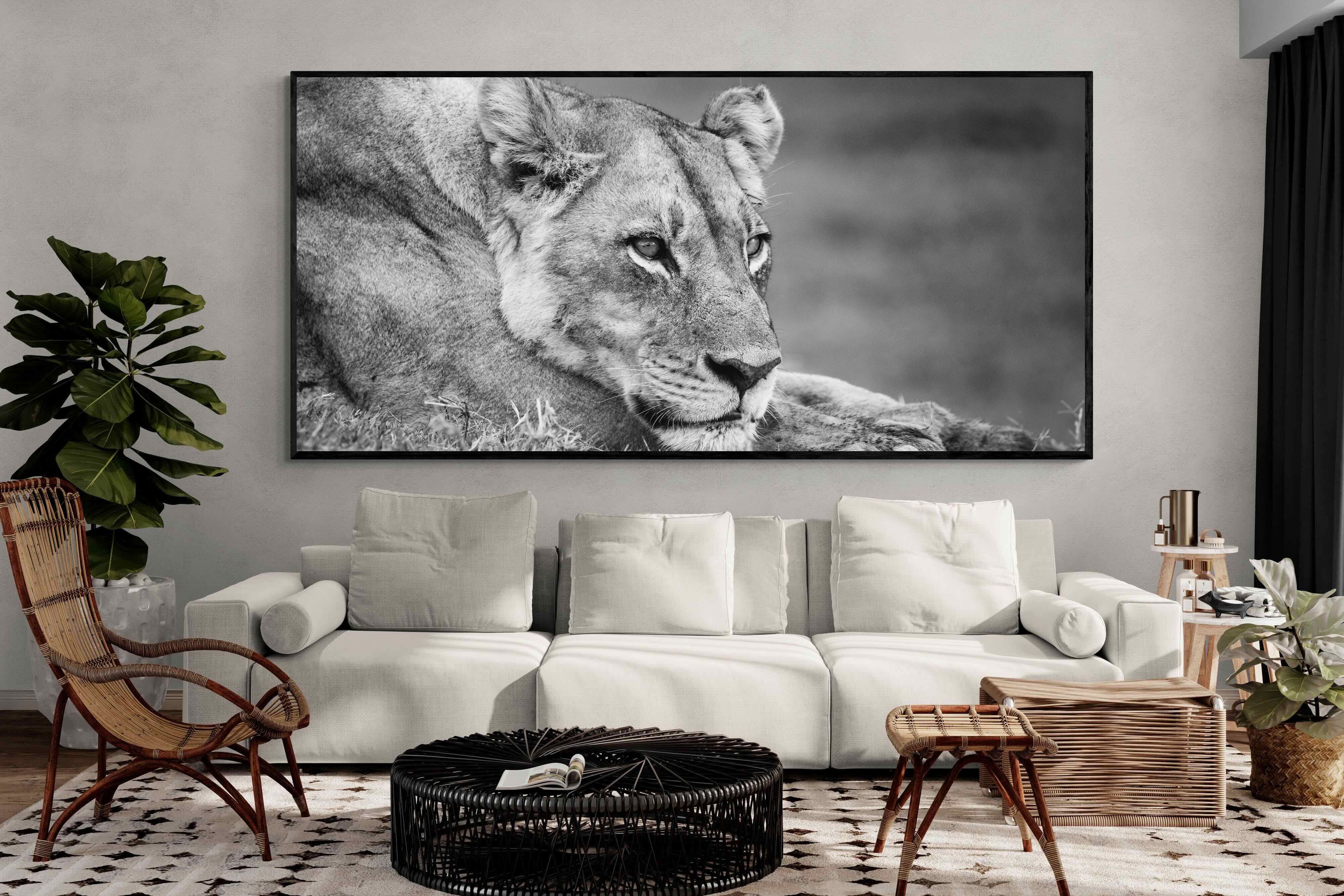 Pixalot Pensive Lioness