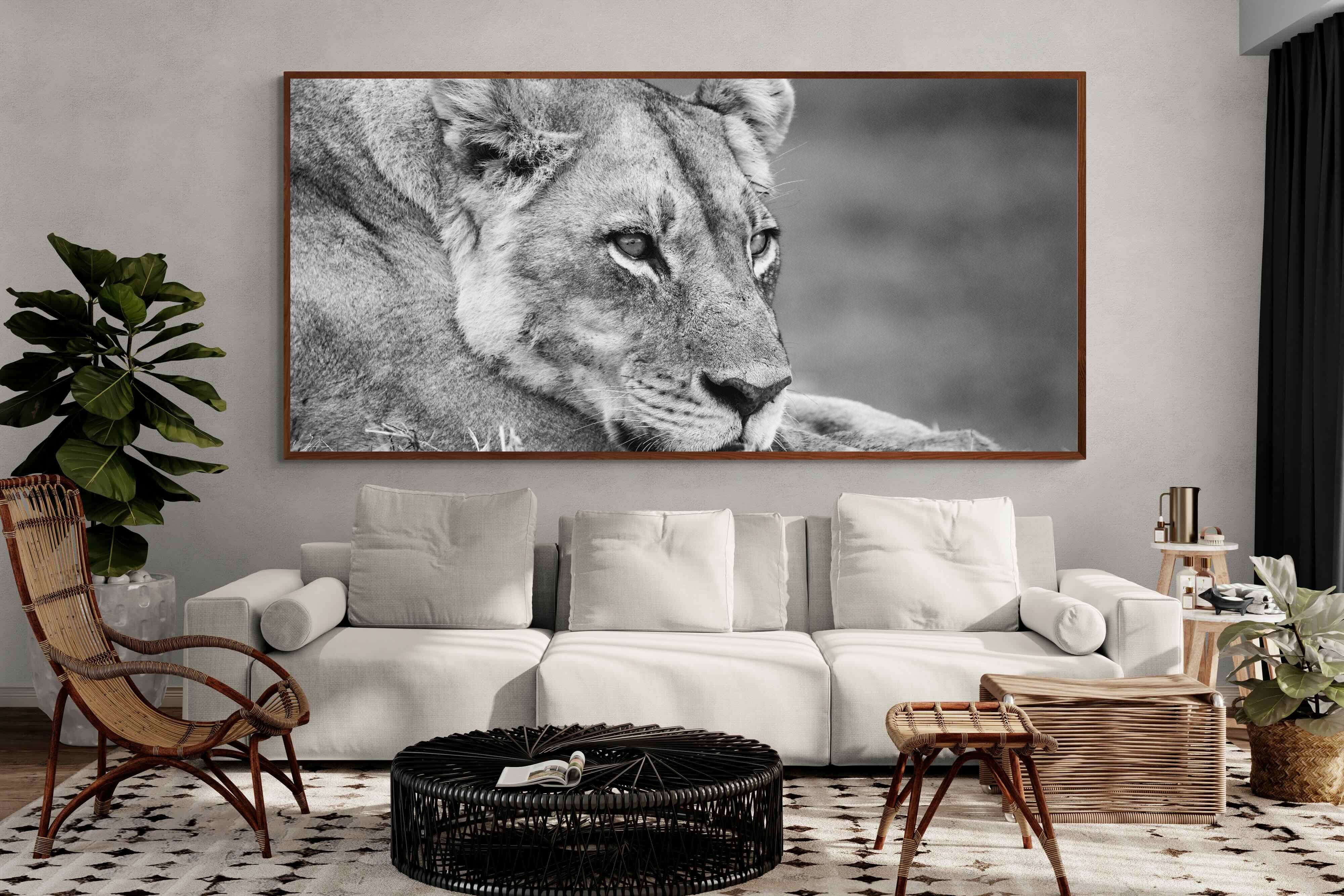 Pixalot ® Pensive Lioness