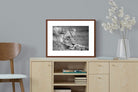 Pixalot ® Pensive Lioness
