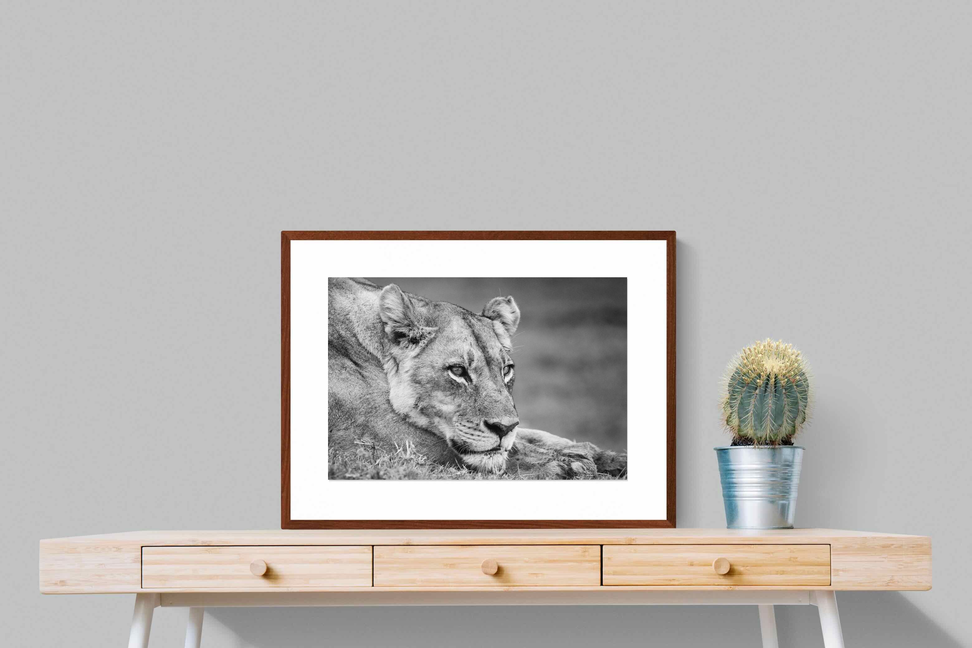 Pixalot ® Pensive Lioness
