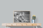 Pixalot Pensive Lioness