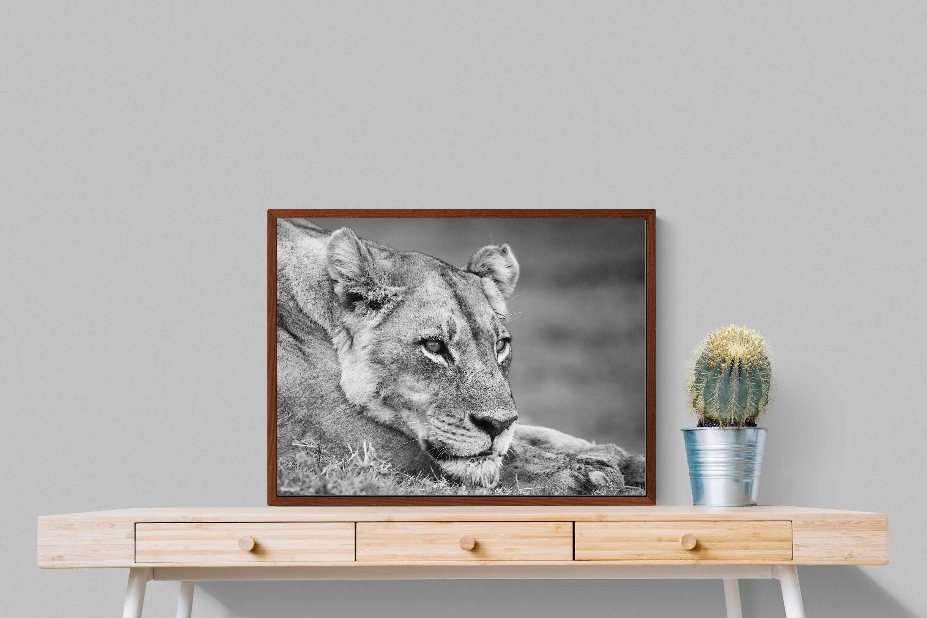 Pixalot ® Pensive Lioness