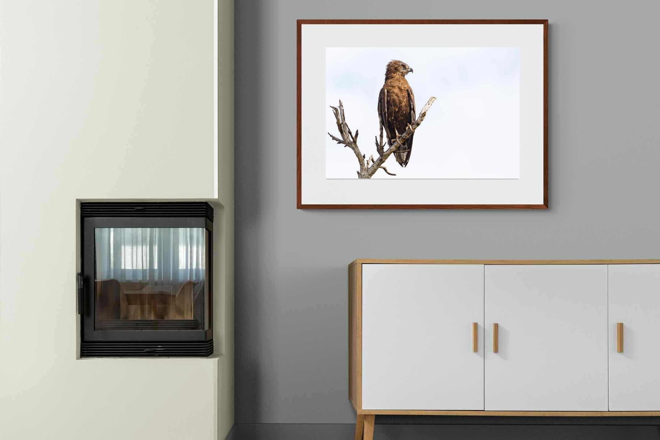 Pixalot ® Perched