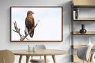 Pixalot ® Perched