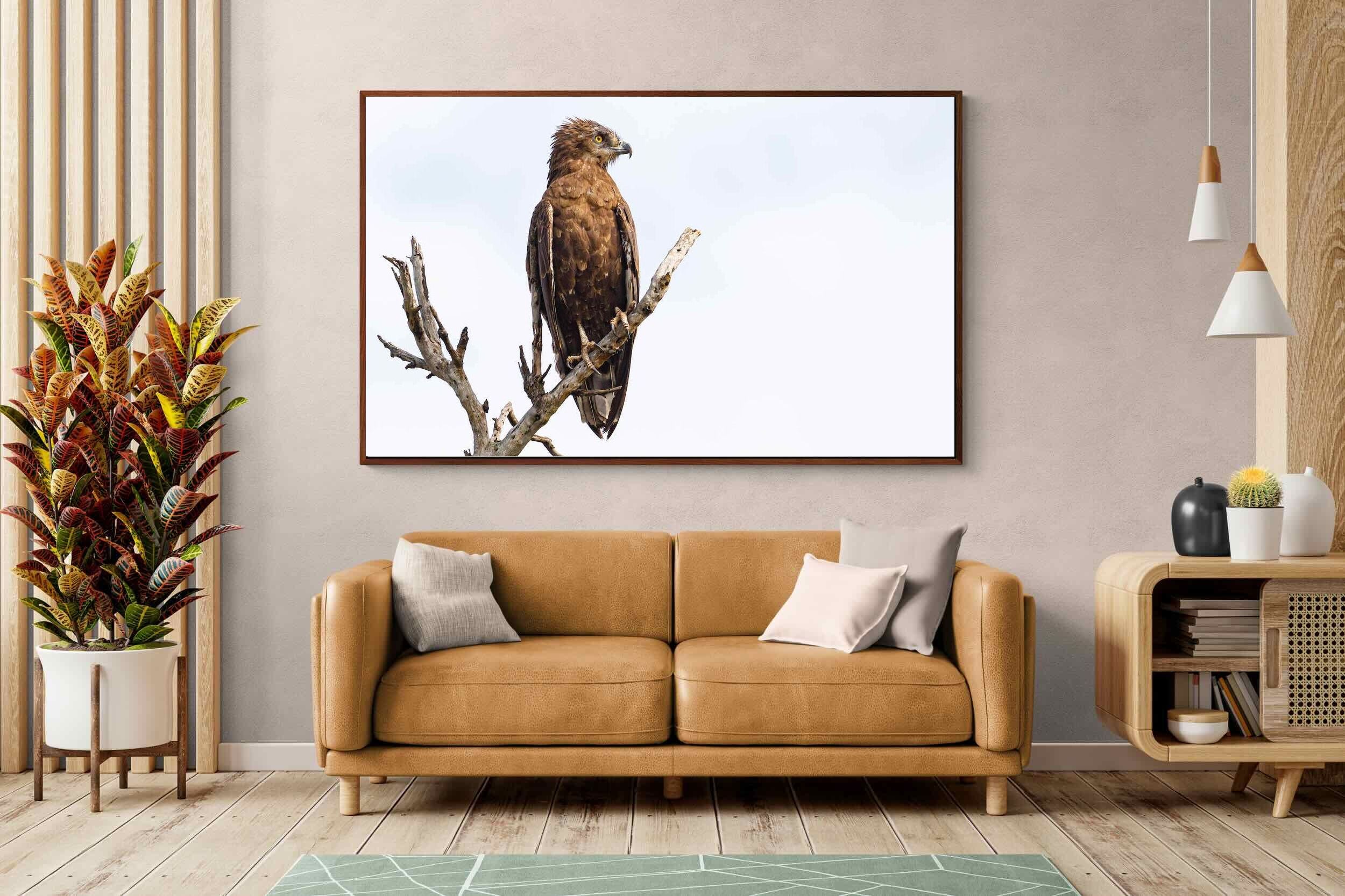 Pixalot ® Perched