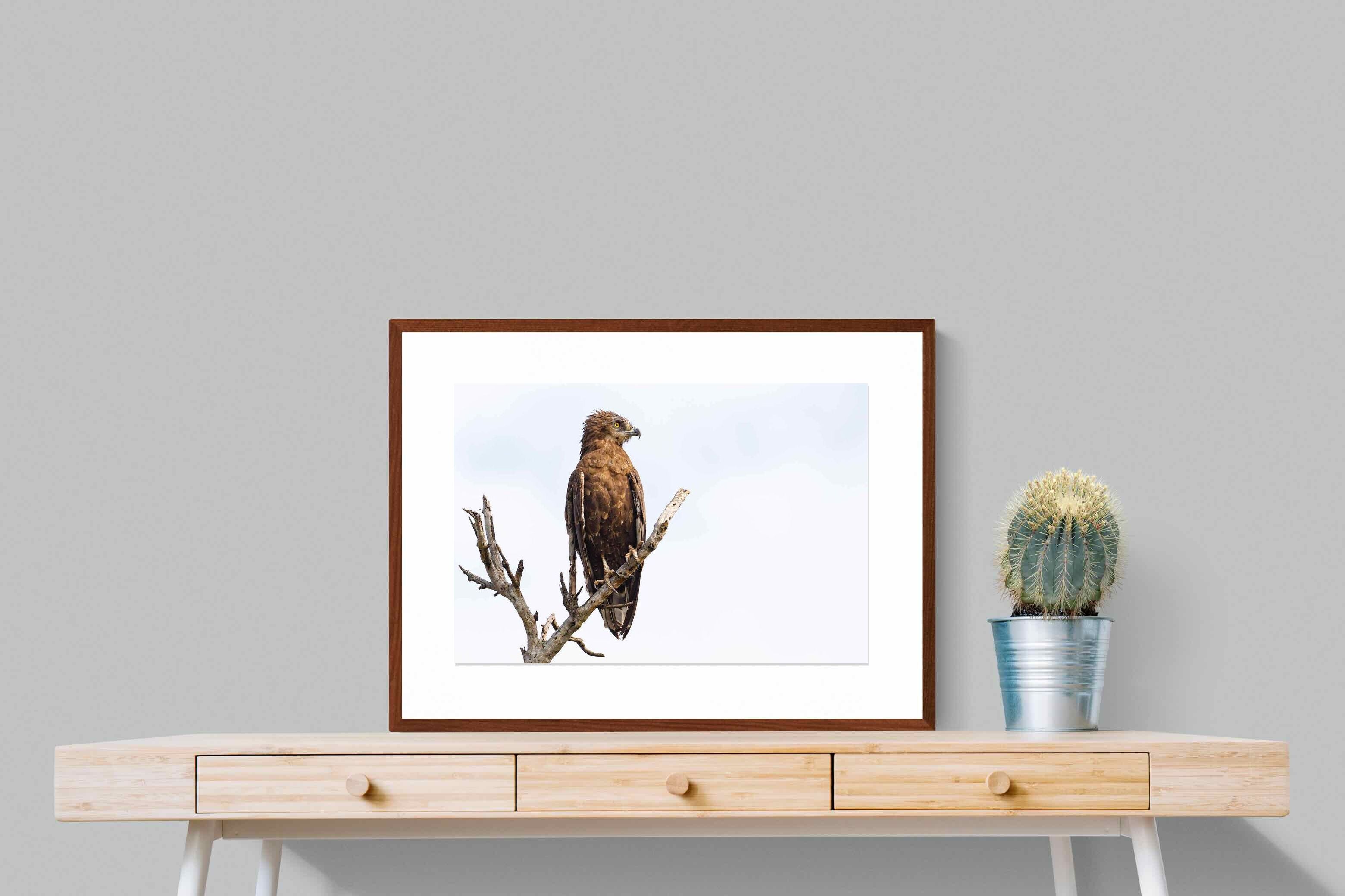 Pixalot ® Perched