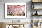 Pixalot ® Pink Blossom
