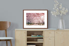 Pixalot ® Pink Blossom