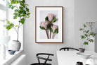 Pixalot Pink King Protea Trio