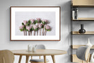 Pixalot Pink Protea Bunch