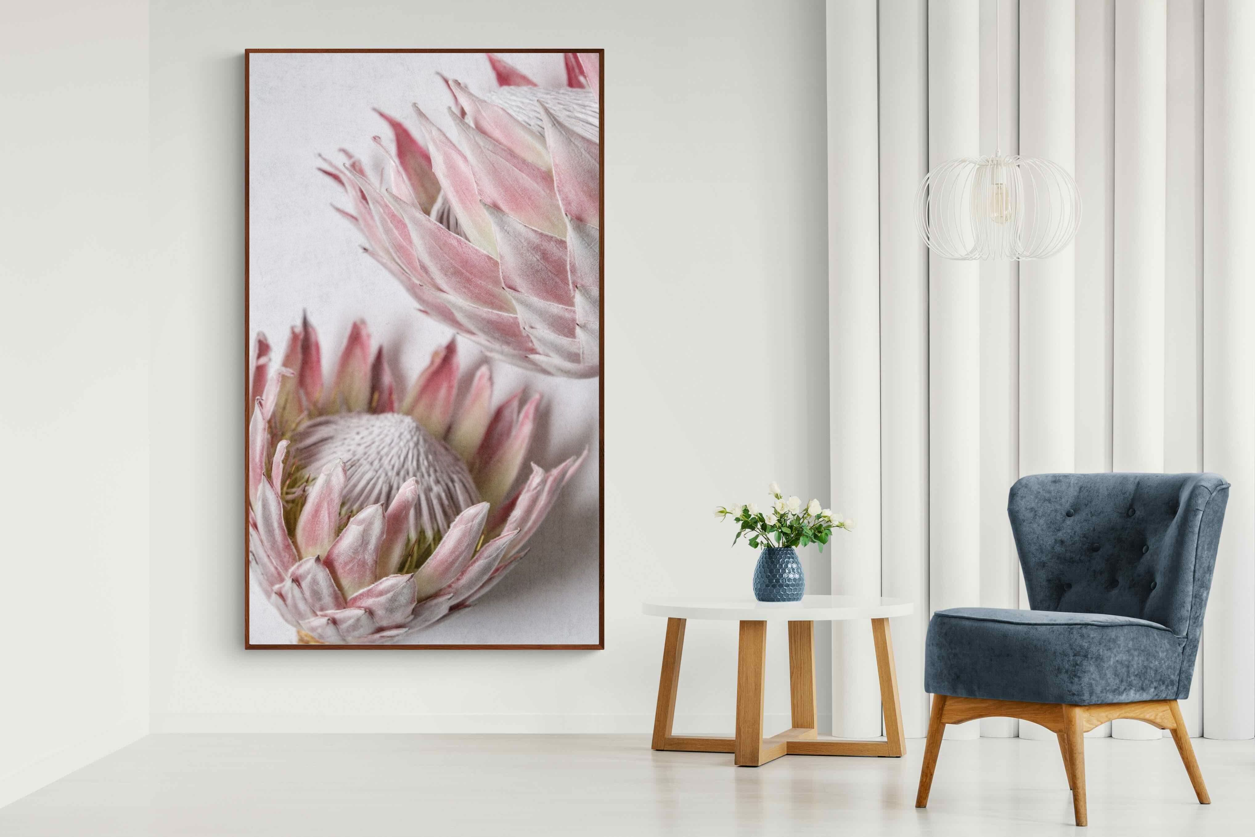 Pixalot Pink Protea Pair