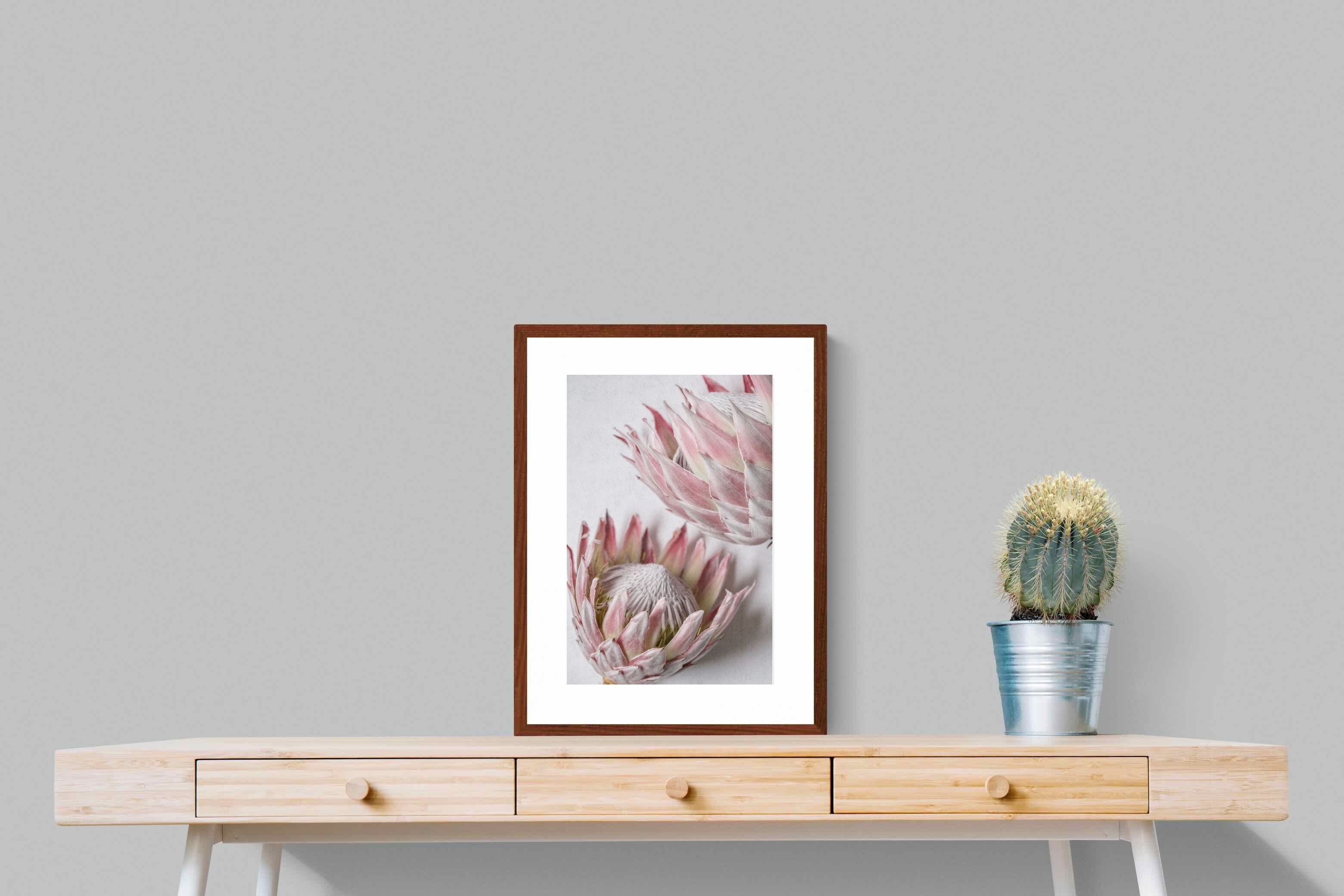 Pixalot Pink Protea Pair