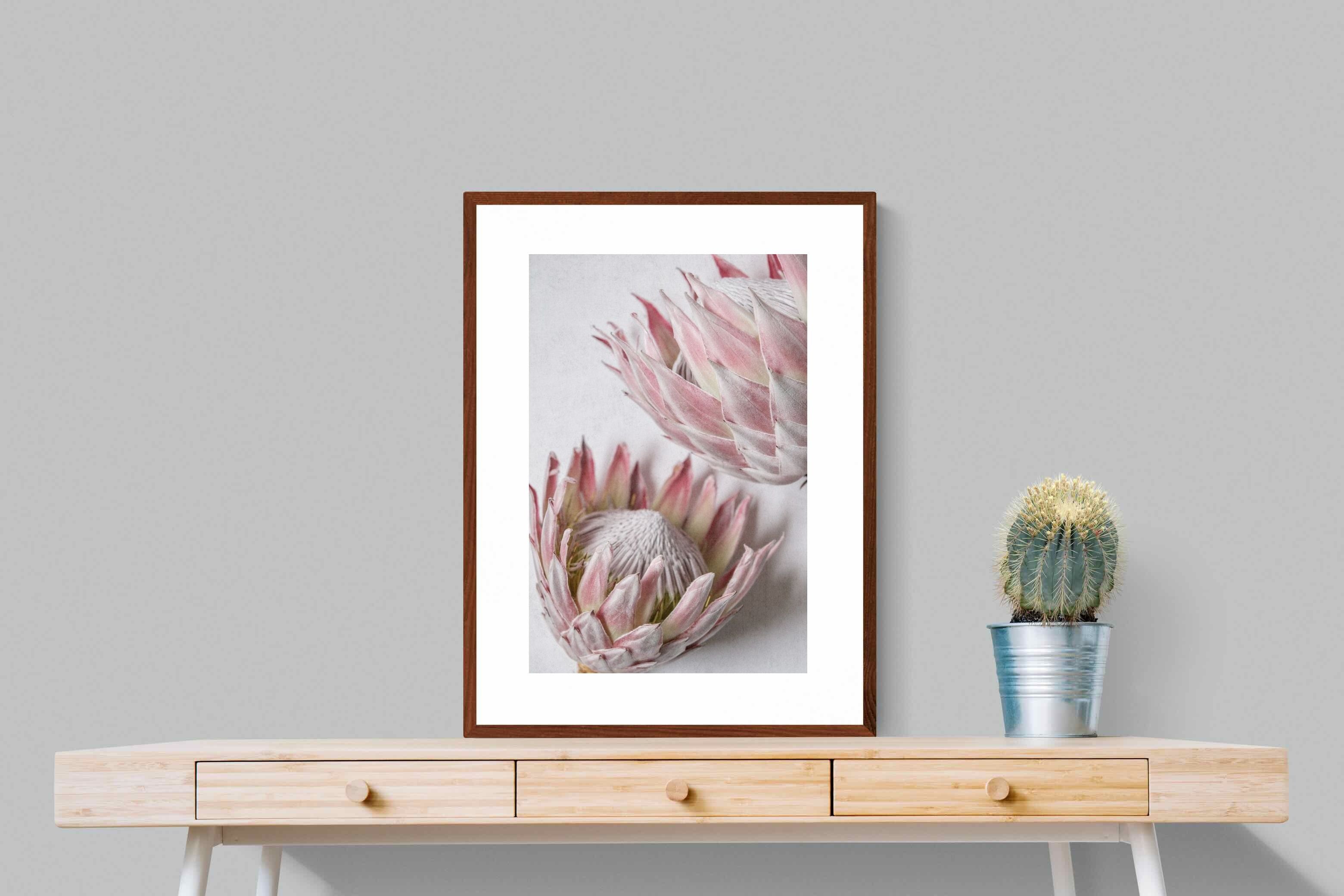 Pixalot Pink Protea Pair