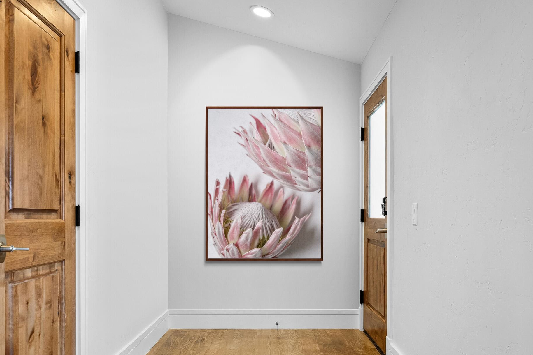 Pixalot Pink Protea Pair