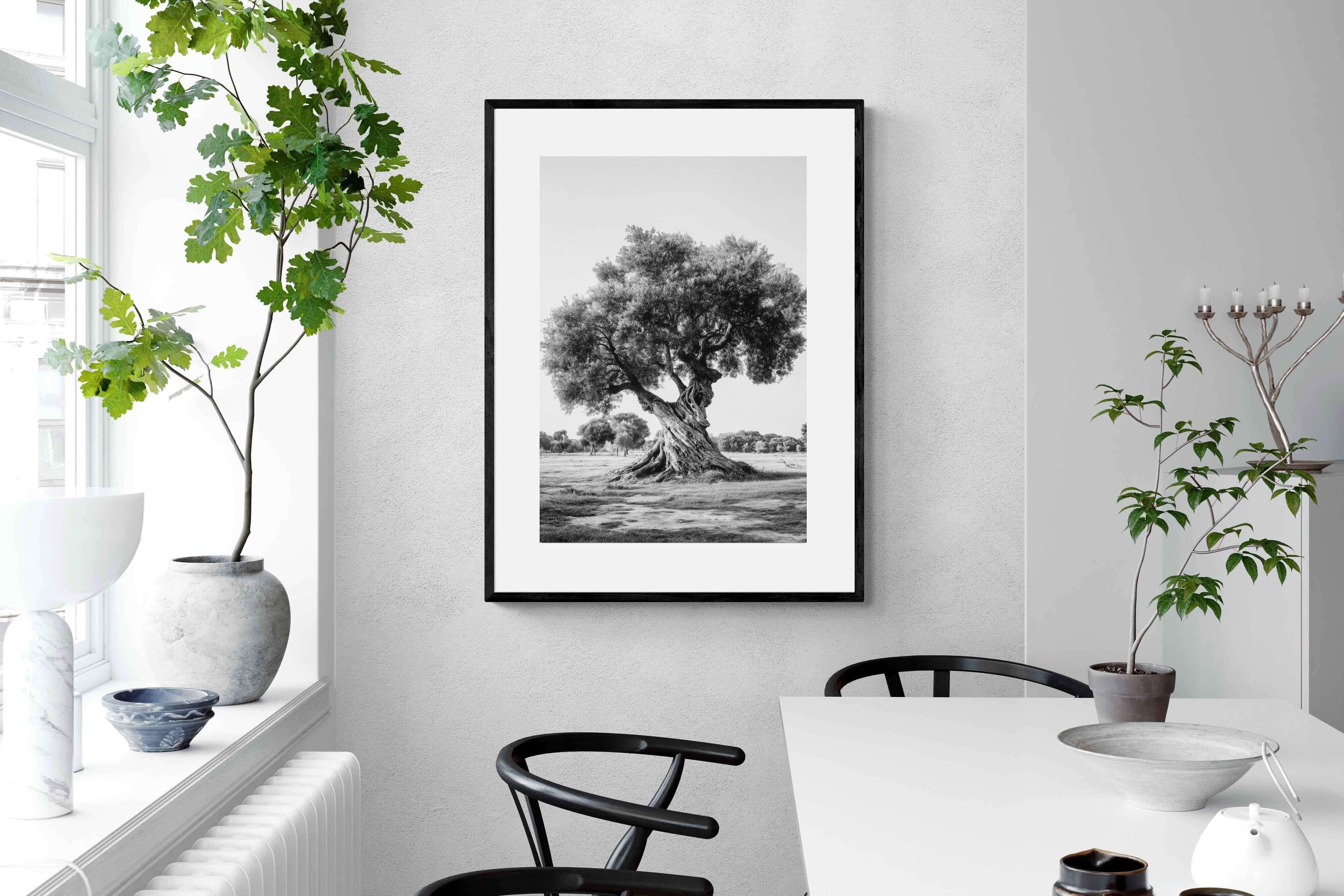 Pixalot Ancient Olive Tree