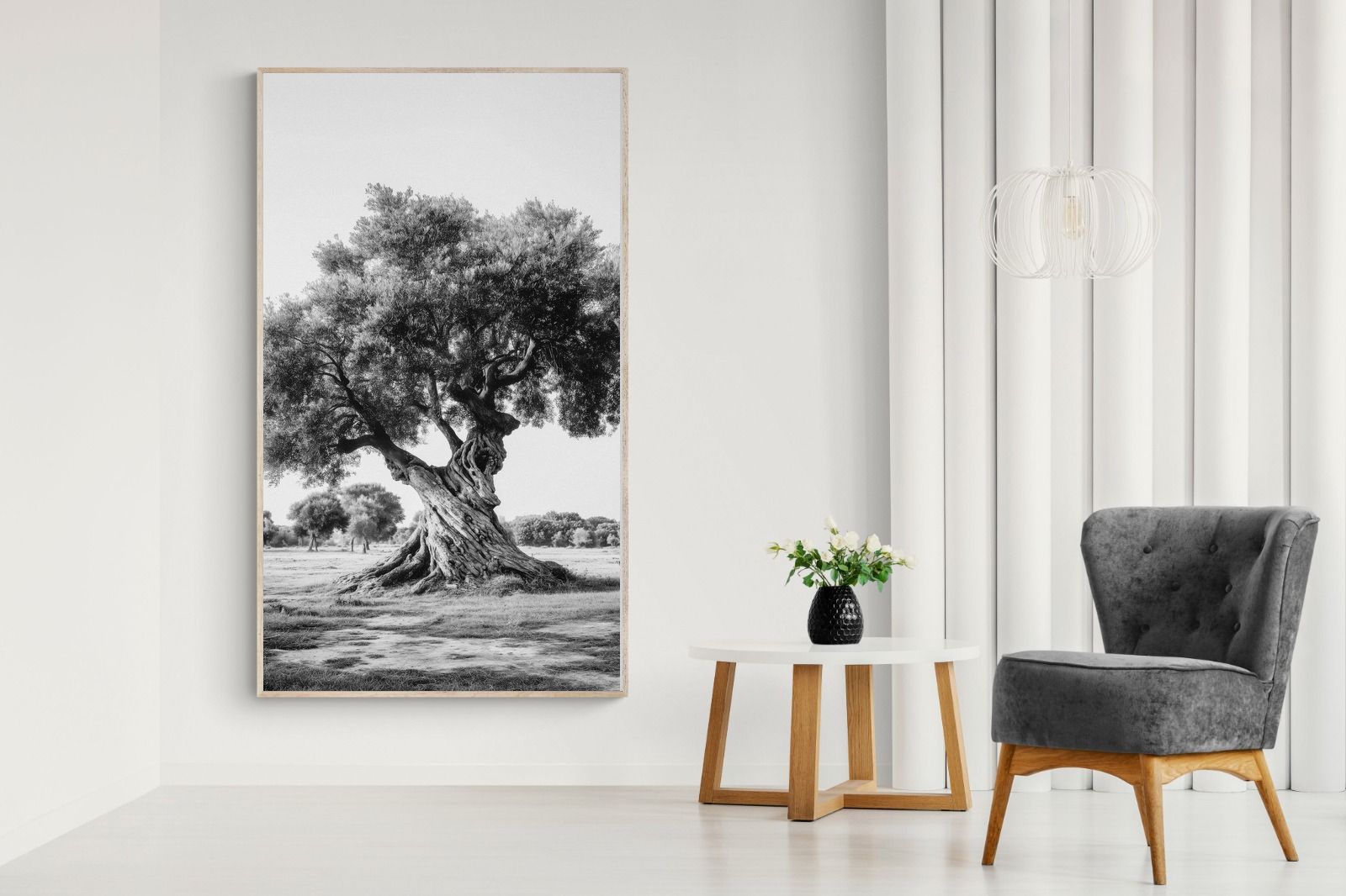 Pixalot Ancient Olive Tree