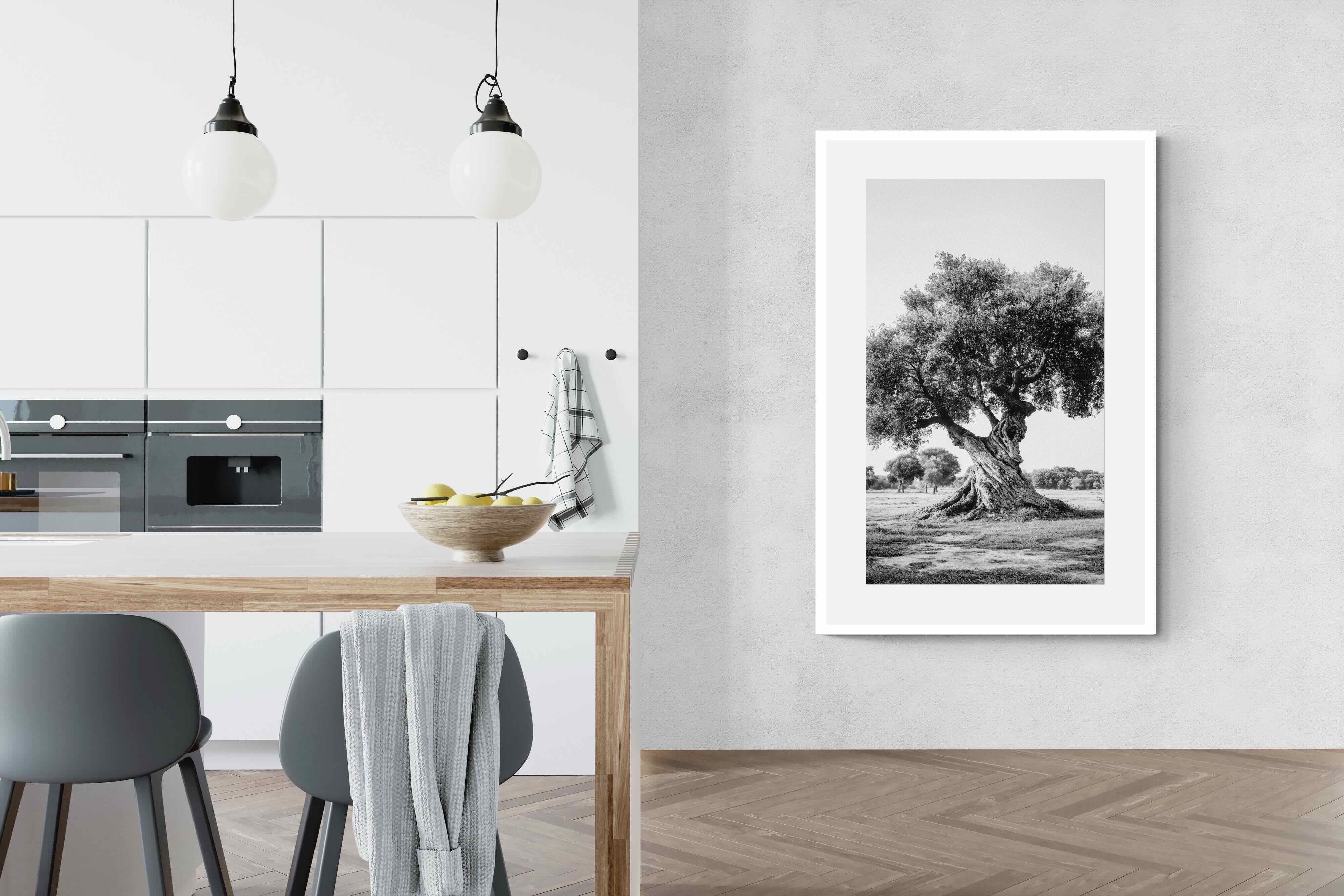 Pixalot Ancient Olive Tree