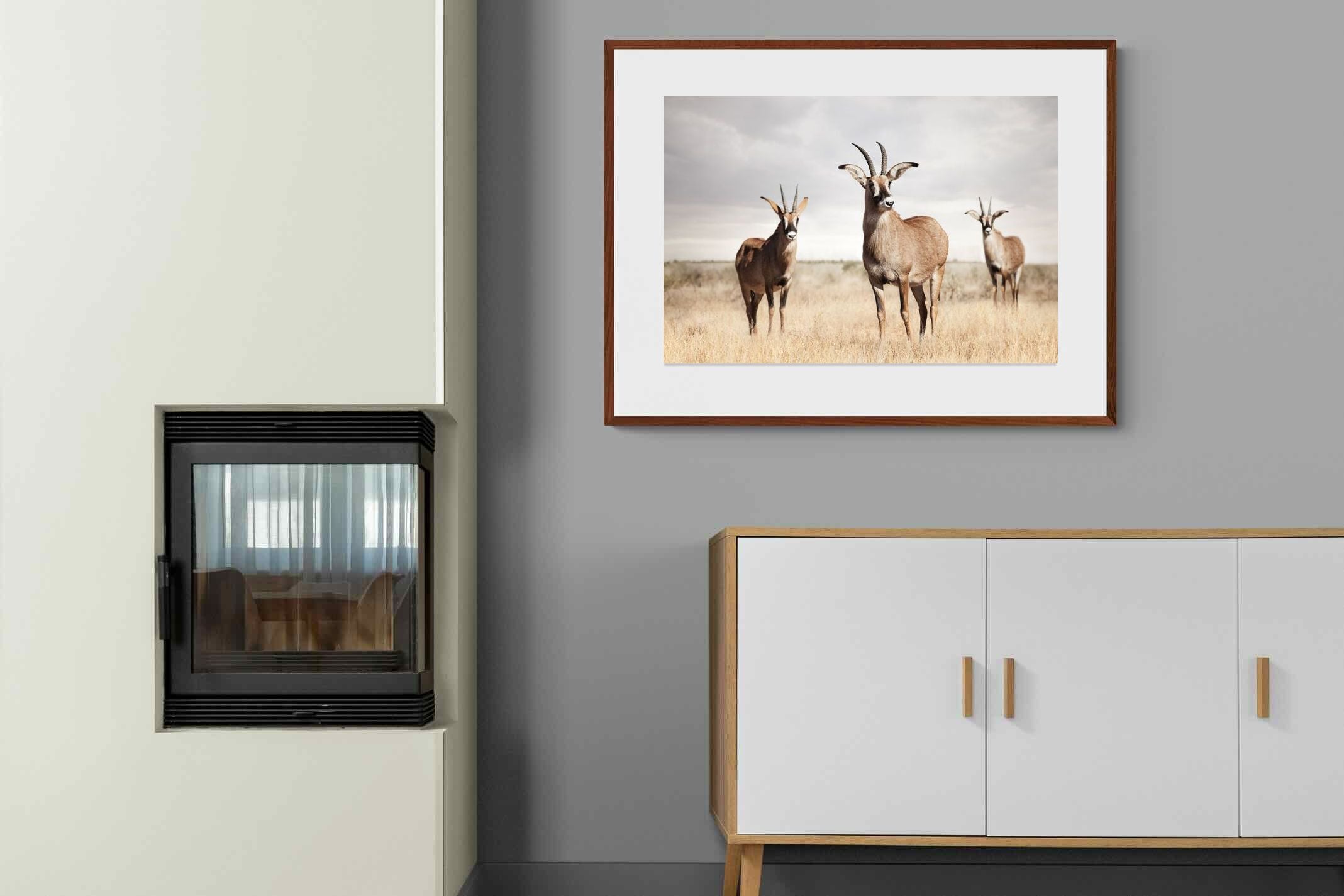 Pixalot ® Antelope Trio