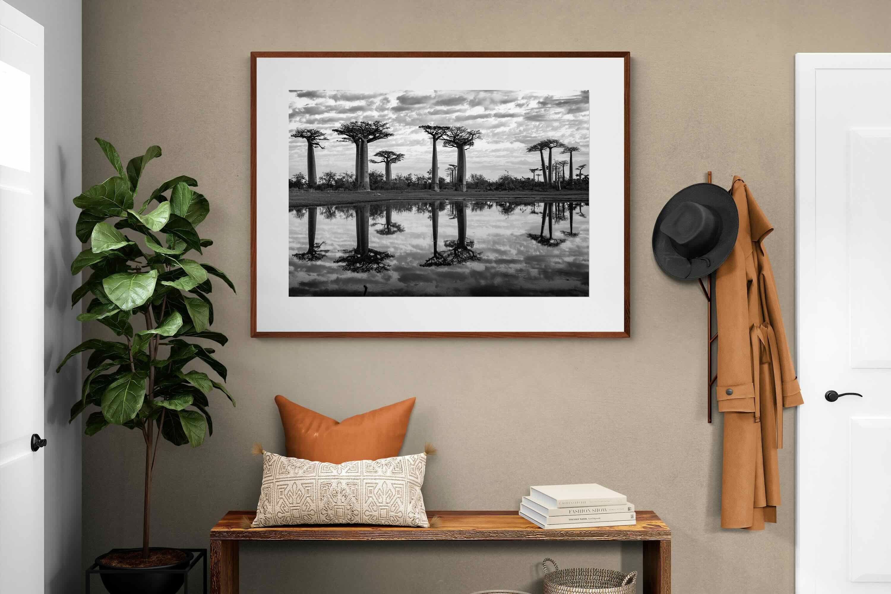 Pixalot ® Baobab Trees