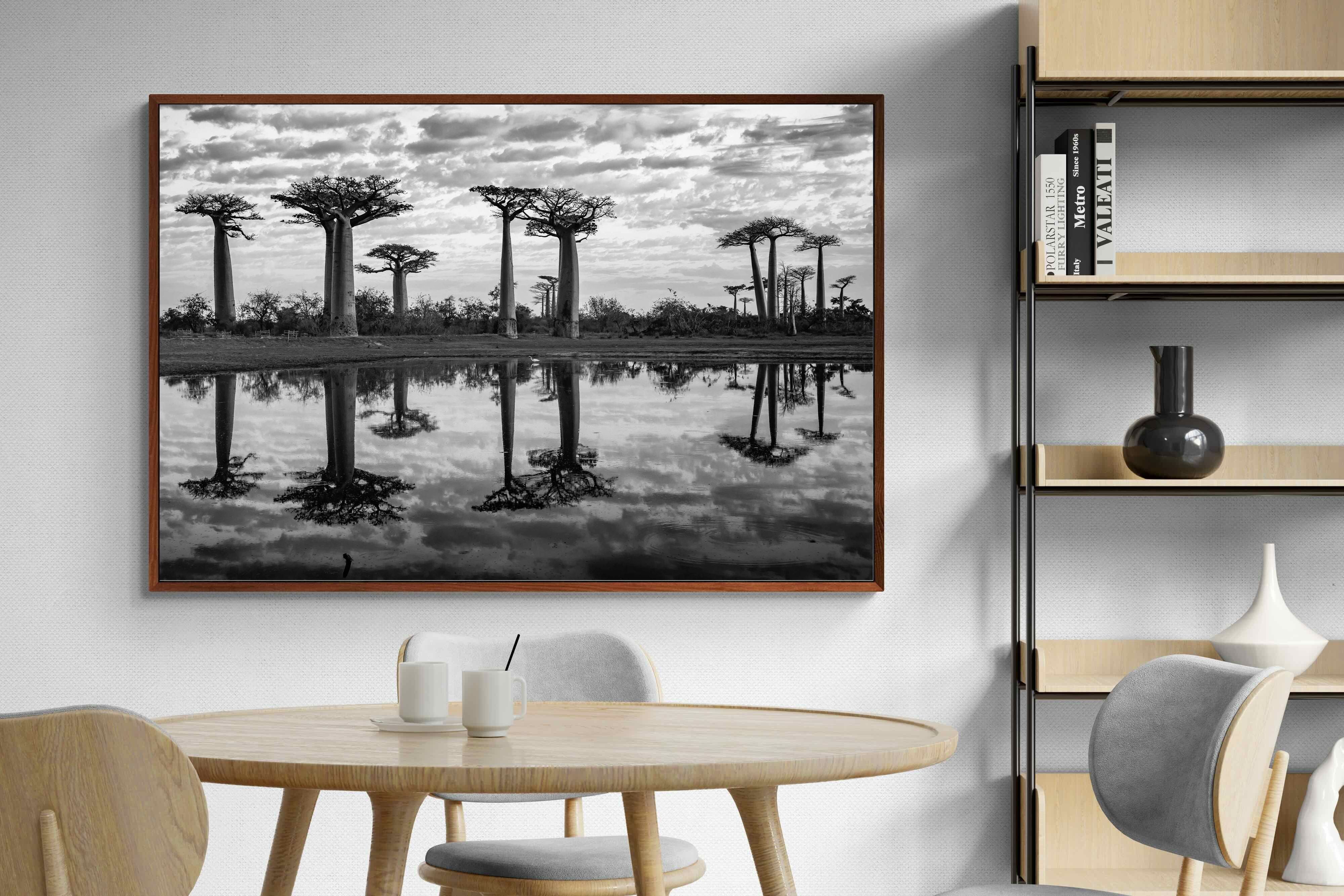 Pixalot ® Baobab Trees