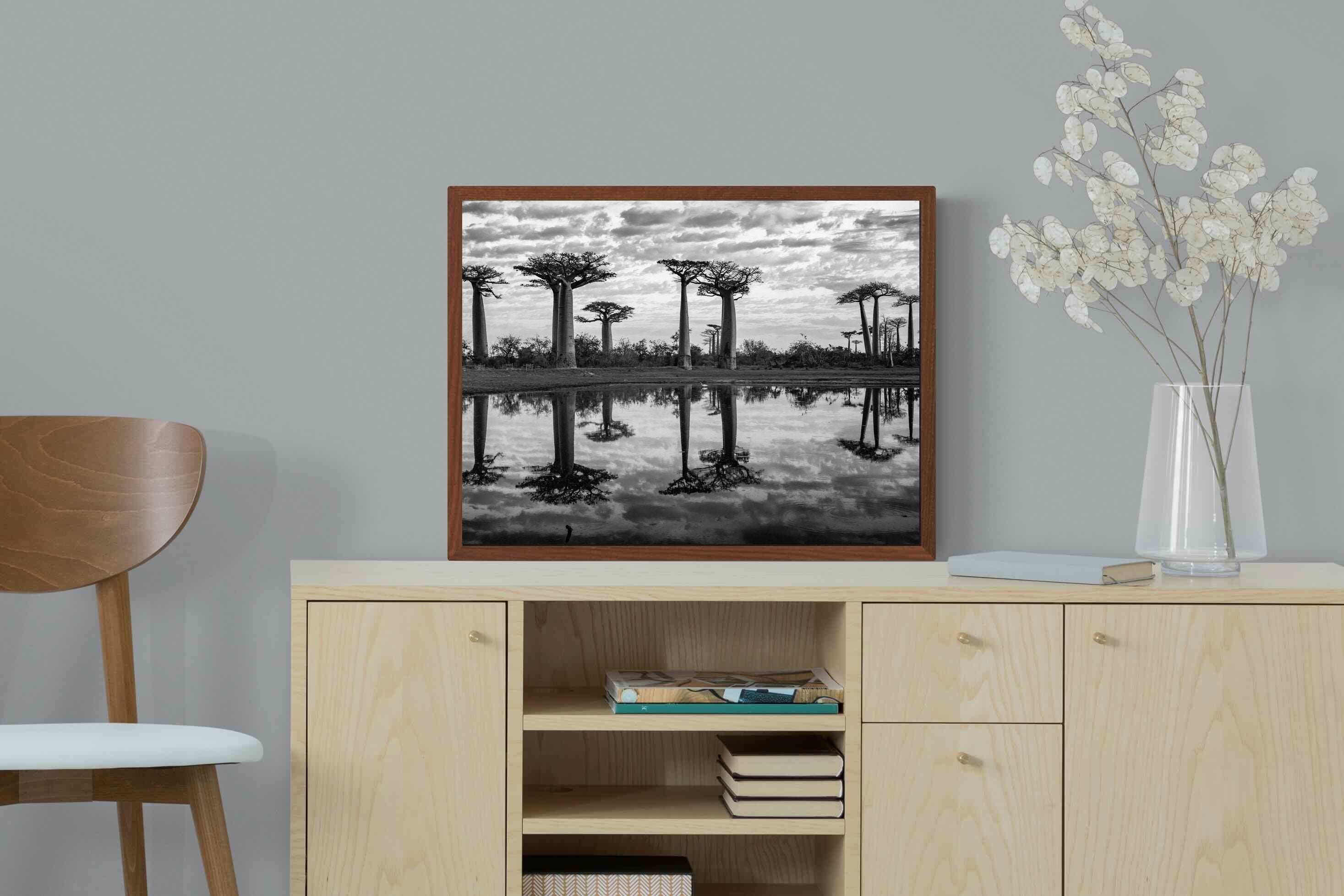 Pixalot ® Baobab Trees