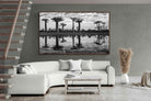 Pixalot ® Baobab Trees