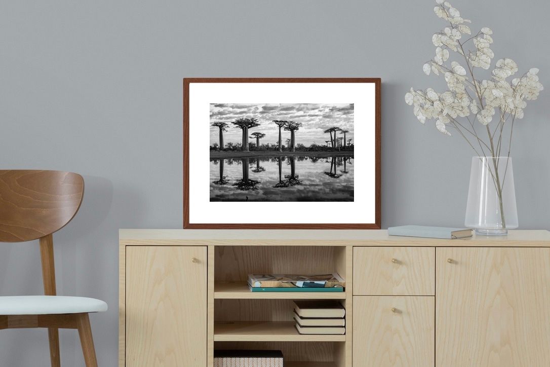 Pixalot ® Baobab Trees