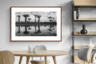 Pixalot ® Baobab Trees