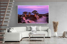 Pixalot ® Baobab Twilight